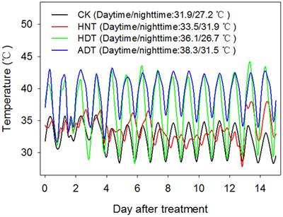 Heat-Induced Cytokinin Transportation and Degradation Are Associated with Reduced Panicle Cytokinin Expression and Fewer Spikelets per Panicle in Rice